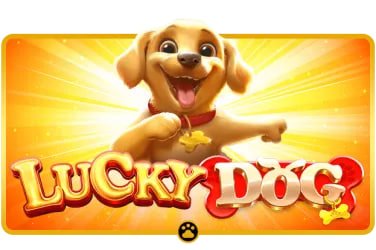 win8 ai Live Casino Baccarat ကစားသမားများ